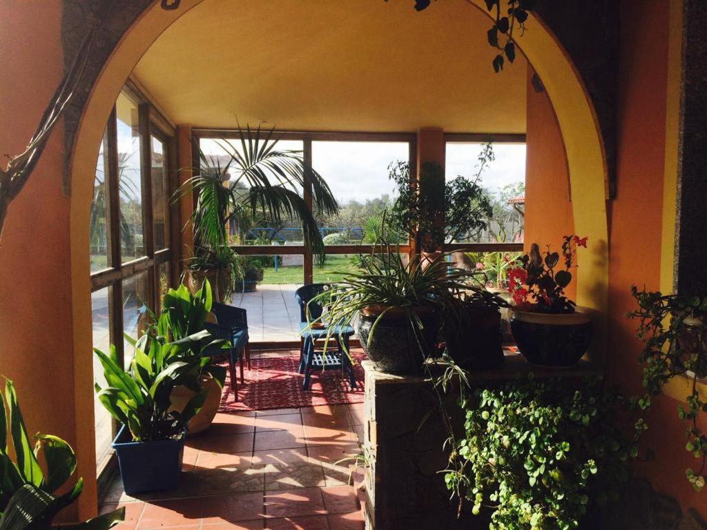 Il Bouganville Oristano Exteriér fotografie