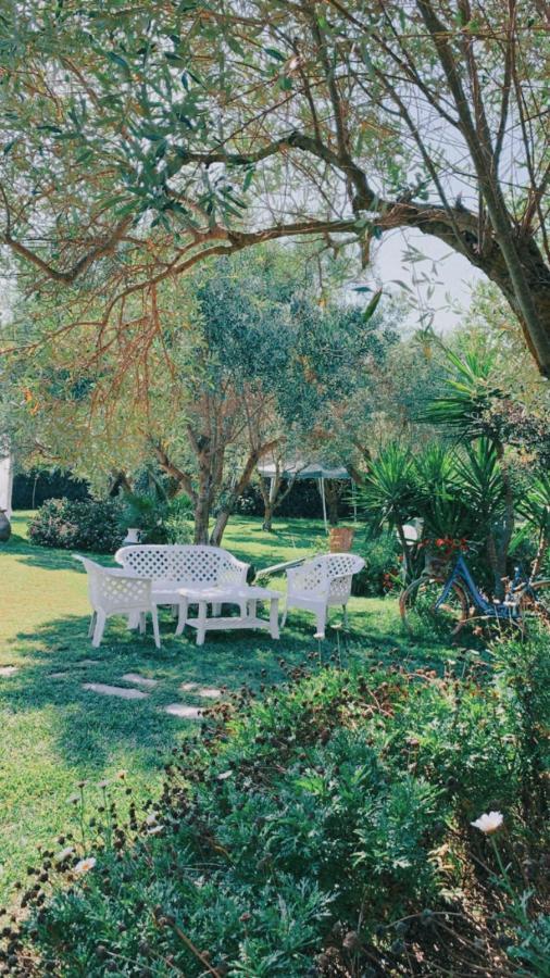 Il Bouganville Oristano Exteriér fotografie